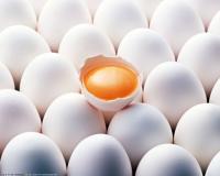 Ученые Британии поделились найденным секретом правильного хранения яиц