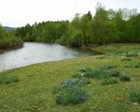 В Хакасии в реке нашли утонувшей двухлетнюю девочку