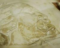 В Екатеринбурге случайно нашли уникальный портрет Родена