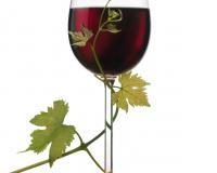 Доктор: от бокала красного вина зависит дряхлость мыщцы сердца