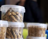 Современная экстремальная школа кулинарии в Ситтард (Голландия) представила новый писк моды в Европе