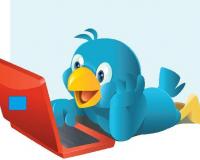   Twitter      