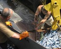 Рабочим рыбокомбината на острове Шикотан начали погашать долги по зарплате