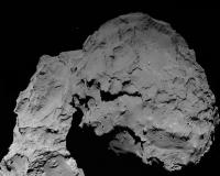   :  Rosetta    -