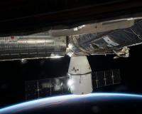 Dragon    2 