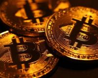  :   $19 