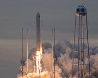           Cygnus