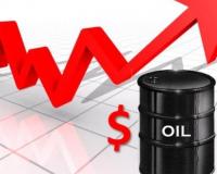    WTI 