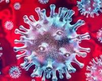 Coronavirus:      COVIDSafe