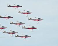       ,    Snowbirds   