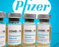     Pfizer Covid