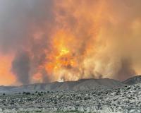 Волна тепла в США: в западных штатах бушуют лесные пожары из-за роста температуры