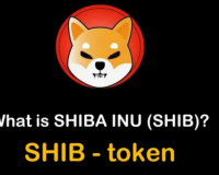  2021       $8 .   Shiba Inu