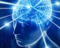 Precision Neuroscience       : 4096 !