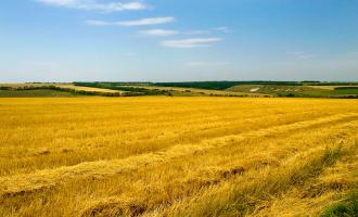 Зарубежные инвесторы скупают российскую землю.