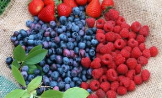 Продукты с коллагеном продлят молодость