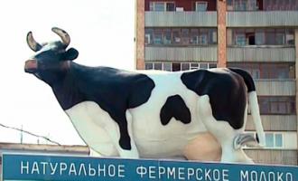 Учеными доказано: ежедневные два стакана молока обеспечат похудание на пять килограмм