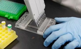 Ученые обнаружили ген, отвечающий за продление молодости