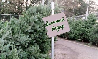 Новогодние елки в Москве можно будет купить с 20 декабря