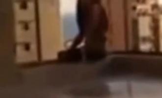 В Петербурге 15-летняя первокурсница упала с крыши 9-го этажа