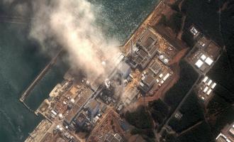 Число жертв катастрофы на АЭС «Фукусима-1» превысило 1600 человек