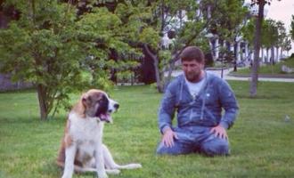 Неизвестные украли из резиденции Рамзана Кадырова его собаку