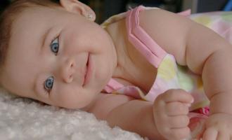 � ��������������� ������� 21-������ ������� ������� ������ ������������ �����