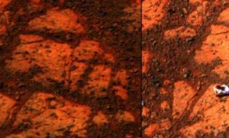 Черно-белый камень на поверхности Марса близ марсохода Opportunity привлек всеобще внимание