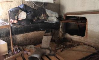 Во Владивостоке в подвале дома нашли задушенными двух бомжей
