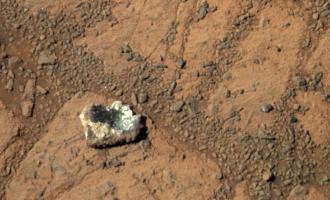 Американский психолог подал в суд на NASA из-за загадочного «марсианского гриба»
