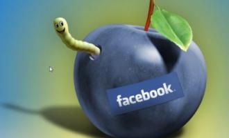 Новый кибервирус представляет угрозу для пользователей соцсети Facebook