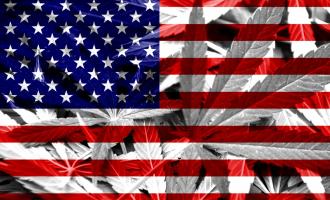 В США марихуана пришла на смену кокаину, но ее употребление подобно эпидемии