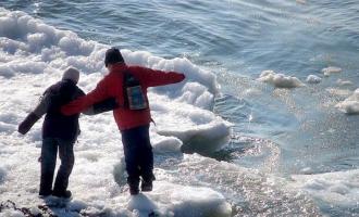 В Ленобласти в реку Гороховка упали два школьника, одного до сих пор не нашли