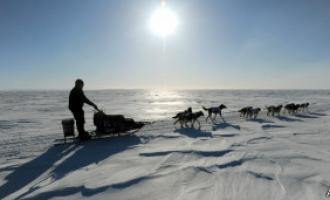 Американцы требуют вернуть России Аляску