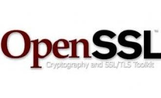 Два года АНБ пользовалось критической уязвимостью в OpenSSL