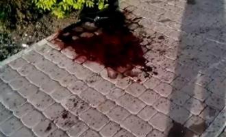В пригороде австрийской столицы нашли мертвыми двух граждан РФ