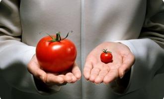 Ученые: без генетически модифицированных продуктов человечество не выживет