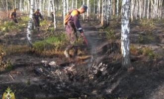 МЧС России: торфяные пожары в двух районах Тверской области удалось локализовать