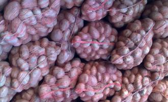 Сегодня Республика Беларусь заключает договора на поставку продукции в Москву
