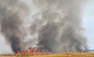 Крупнейший ландшафтный пожар под Ростовом-на-Дону удалось потушить