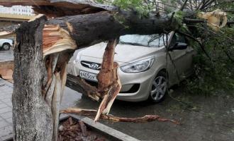 По причине урагана в 13 районах Ростовской области нарушено электроснабжение
