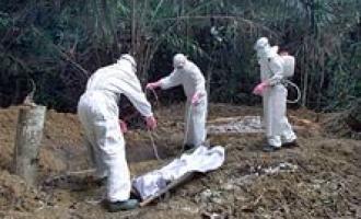 Всемирная организация здравоохранения: число жертв Эболы превысило уже 10 тысяч