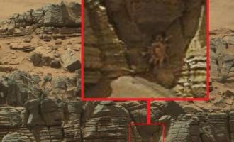 Марсоходом Curiosity на поверхности Марса обнаружен «гигантский краб»