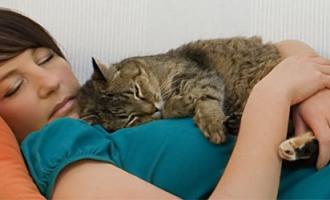 Медики: кошки и собаки способны поправить здоровье человека