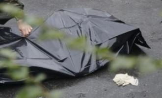В подмосковном лесу нашли мумифицированный обезглавленный труп