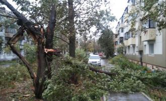 На Сахалине бушует циклон, есть погибшие и пострадавшие