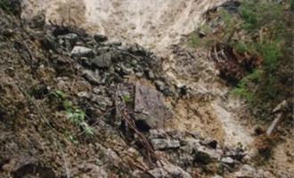 Число жертв схода оползня в Гватемале достигло 280 человек