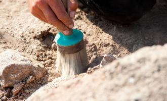 Ученые: в древности жили предшественники Homo sapiens, напоминающие хоббитов