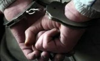 В Подмосковье полицейские пресекли сходку криминальных элементов