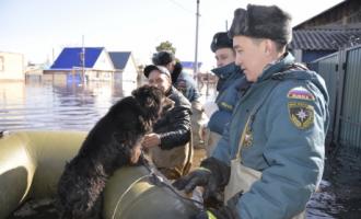 В подтопленном Ишиме спасателям пришлось эвакуировать животных из зоопарка